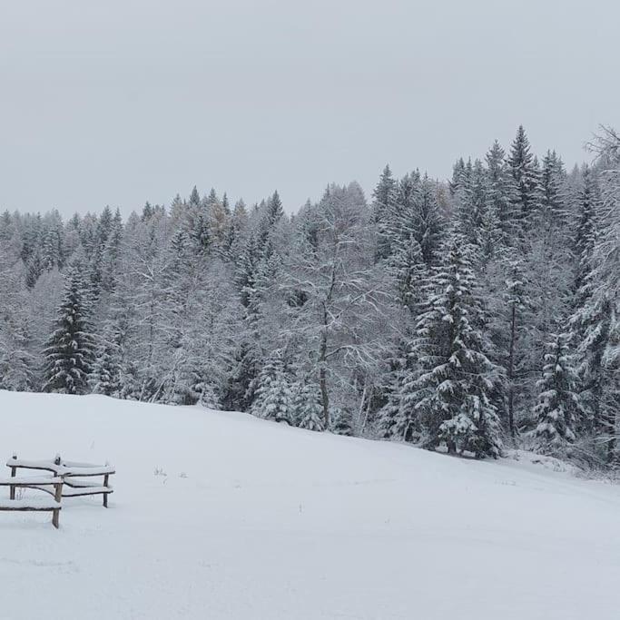 Agriturismo Piangembro Corteno Golgi Dış mekan fotoğraf